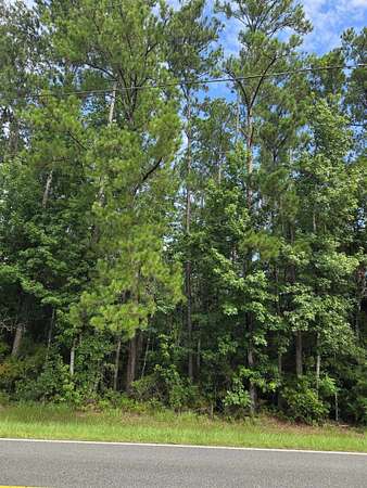 2.3 Acres of Residential Land for Sale in Bristol, Florida