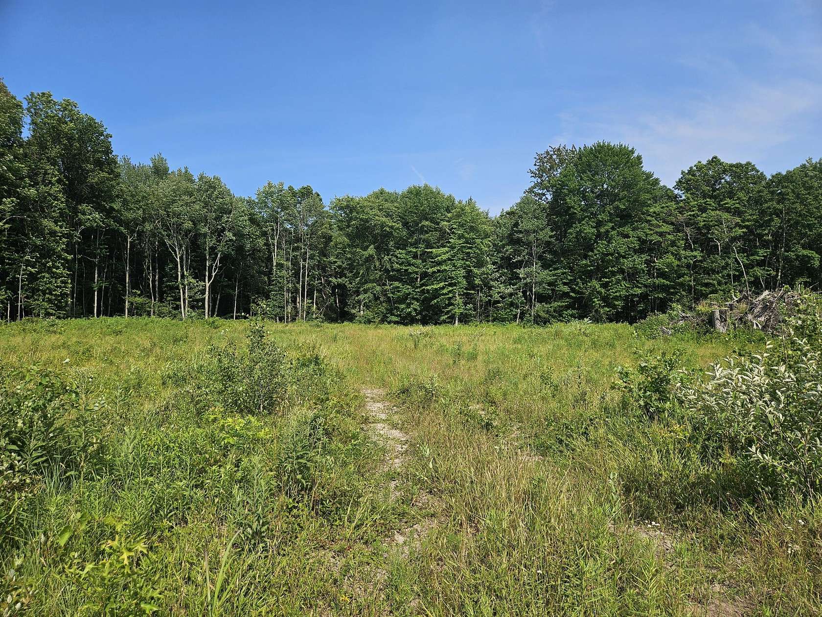 5 Acres of Residential Land for Sale in Fennville, Michigan
