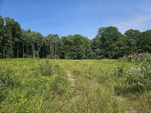 5 Acres of Residential Land for Sale in Fennville, Michigan