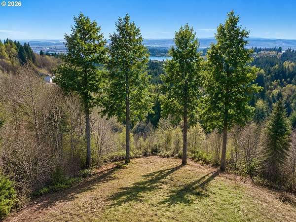 5 Acres of Residential Land for Sale in Woodland, Washington