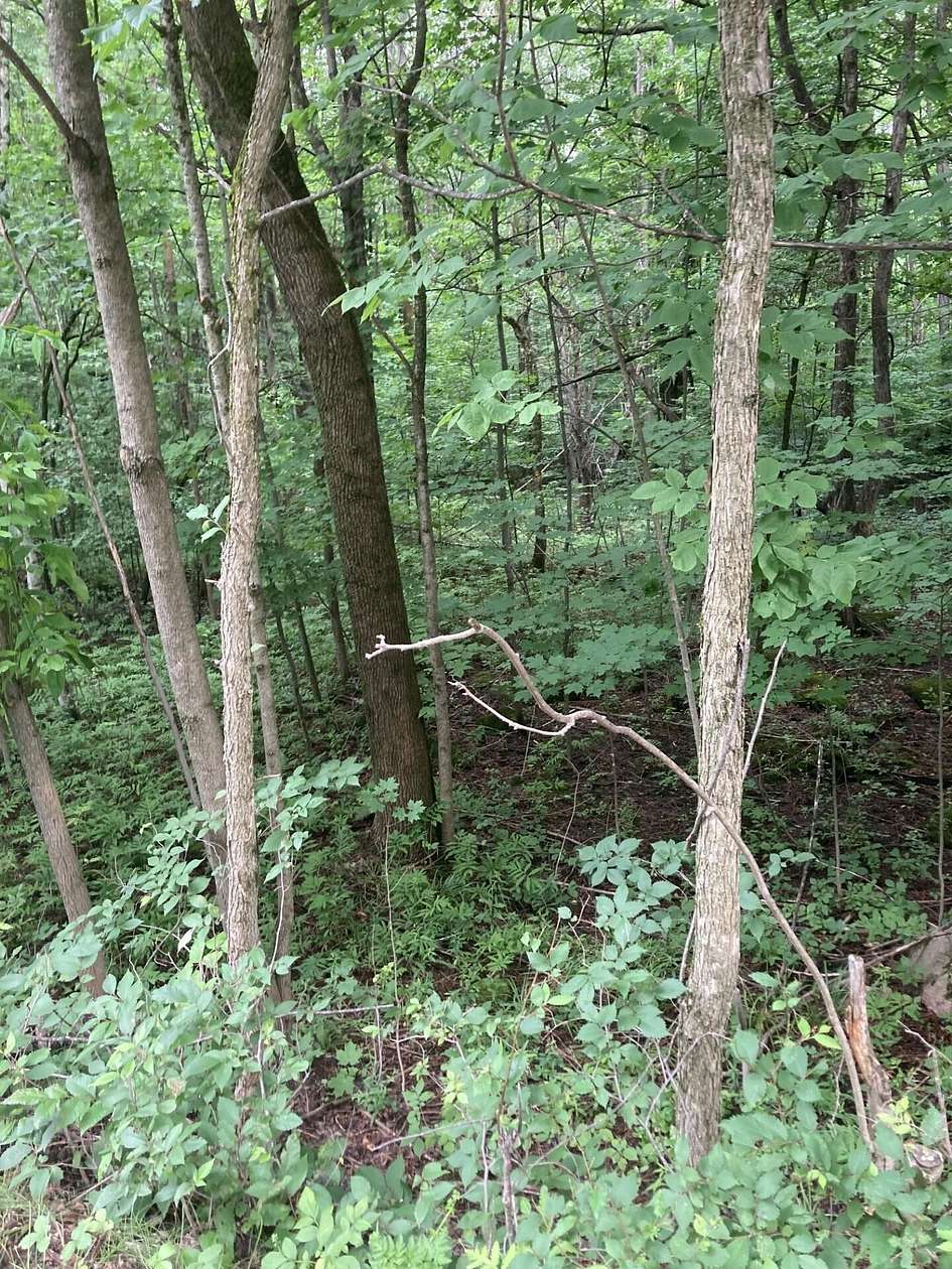 5.7 Acres of Residential Land for Sale in Malone, New York