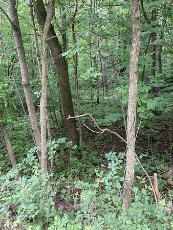 5.7 Acres of Residential Land for Sale in Malone, New York