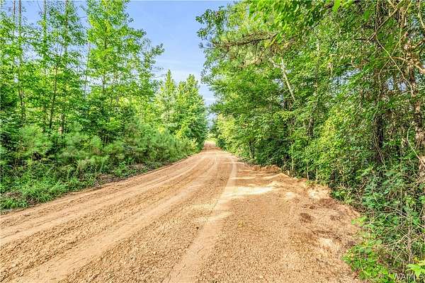 38 Acres of Recreational Land for Sale in Fayette, Alabama