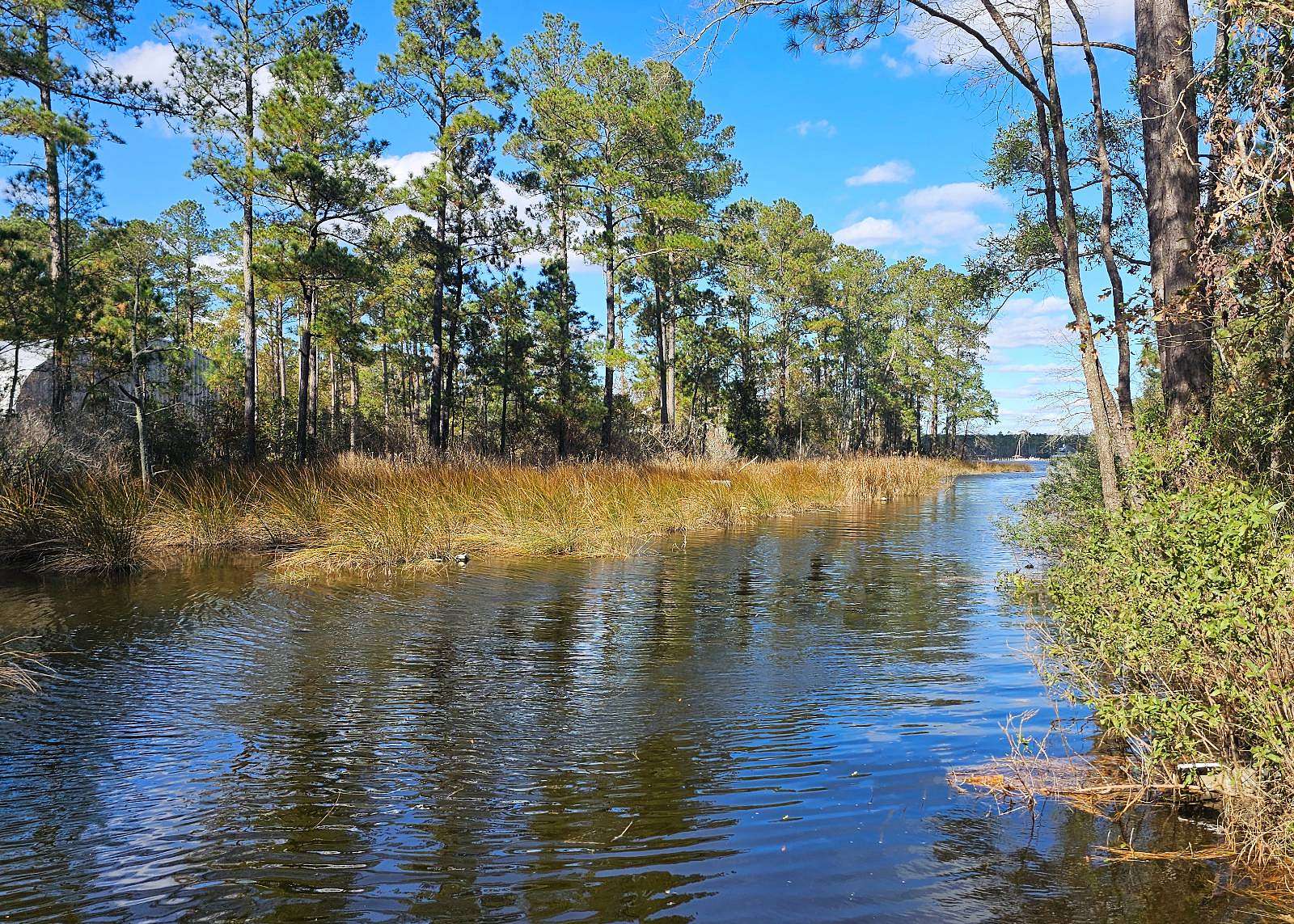 0.83 Acres of Land for Sale in Belhaven, North Carolina