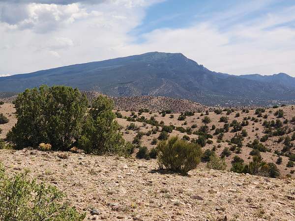 7.5 Acres of Land for Sale in Placitas, New Mexico