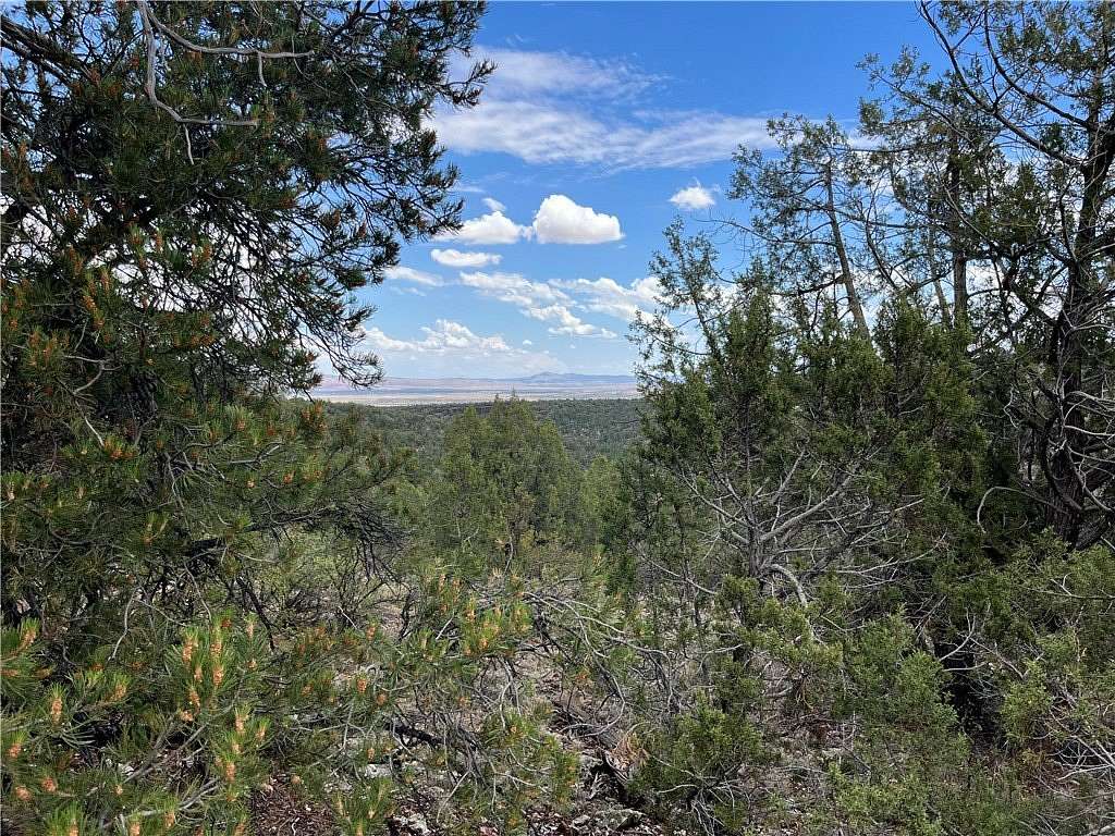 75.9 Acres of Land for Sale in Seligman, Arizona