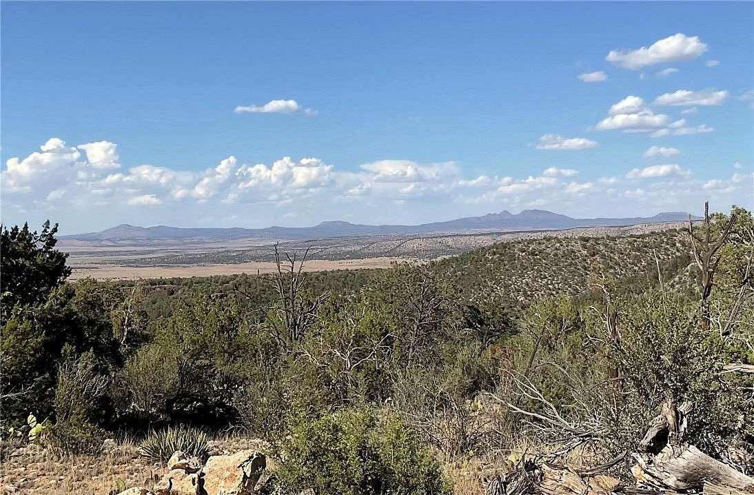 75.9 Acres of Land for Sale in Seligman, Arizona