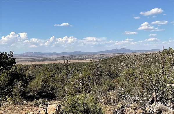 75.9 Acres of Land for Sale in Seligman, Arizona