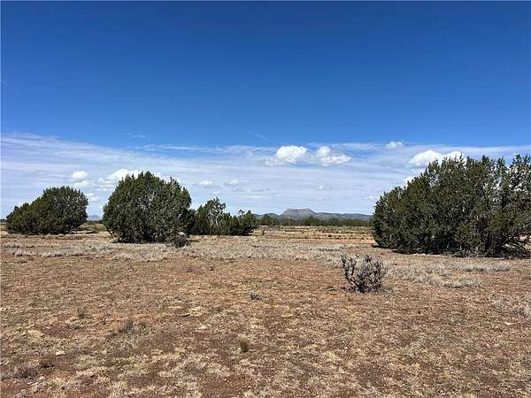 19 Acres of Land for Sale in Seligman, Arizona