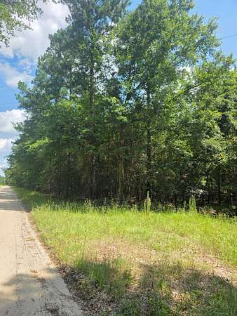 11.3 Acres of Land for Sale in Sardis, Georgia