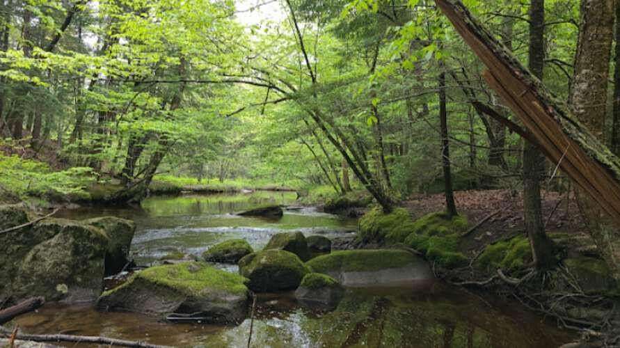 27.8 Acres of Land for Sale in Westbrook, Maine