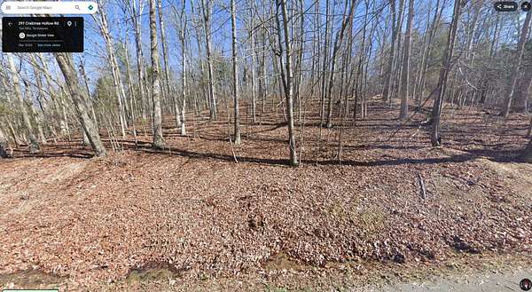 3.2 Acres of Residential Land for Sale in Ten Mile, Tennessee