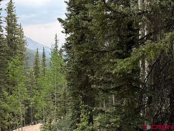 7.74 Acres of Land for Sale in Silverton, Colorado