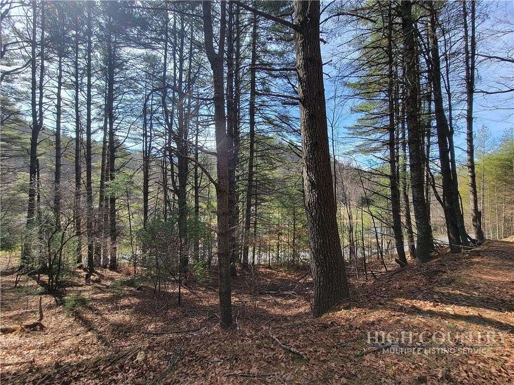 1 Acre of Residential Land for Sale in Fleetwood, North Carolina