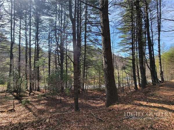 1 Acre of Residential Land for Sale in Fleetwood, North Carolina