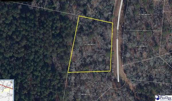 1.17 Acres of Residential Land for Sale in Cheraw, South Carolina