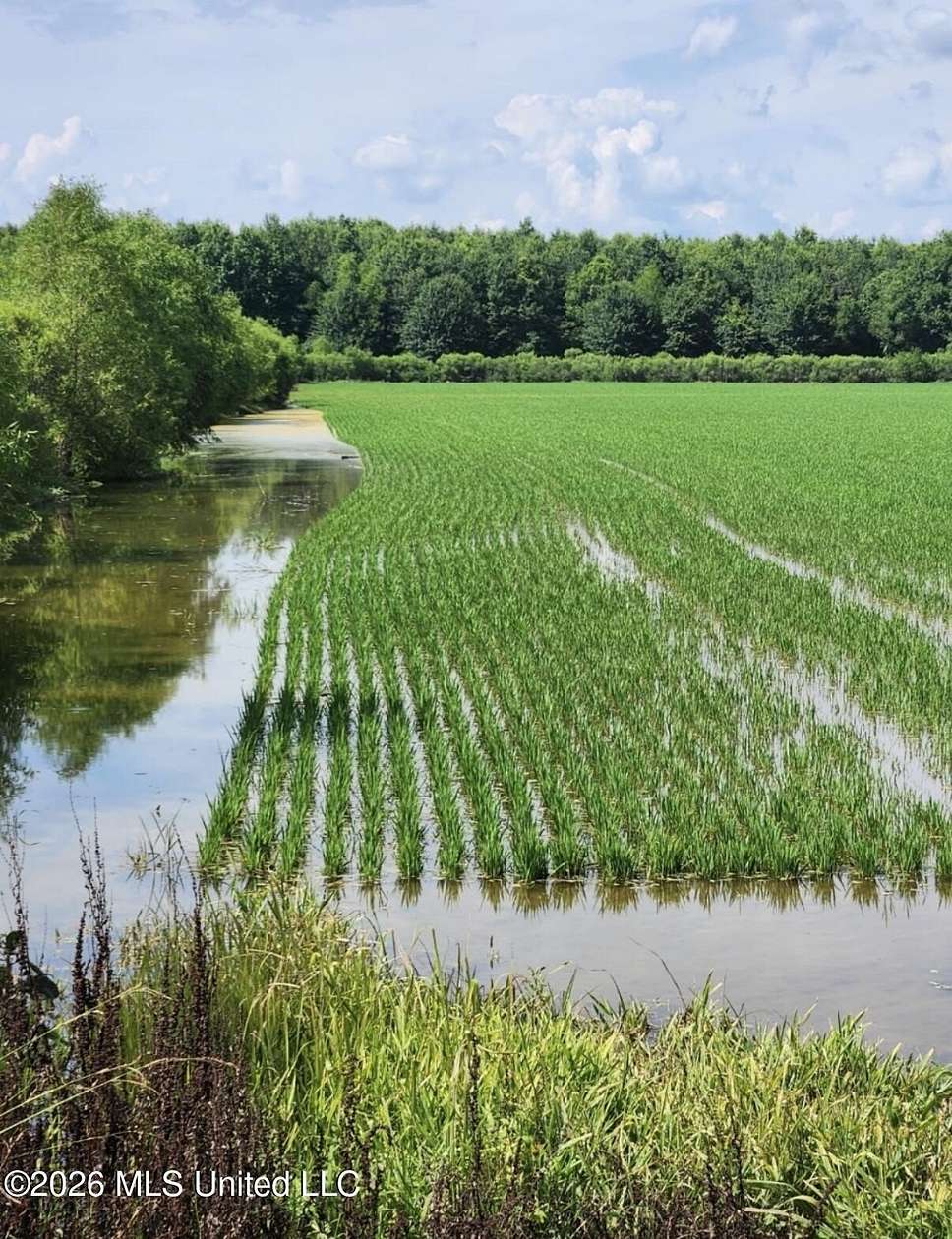 78 Acres of Recreational Land for Sale in Lambert, Mississippi