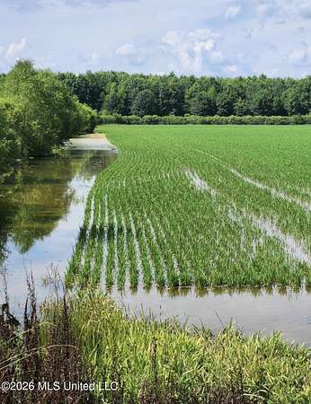 78 Acres of Recreational Land for Sale in Lambert, Mississippi