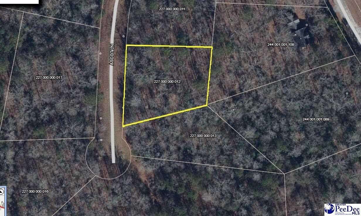 0.69 Acres of Residential Land for Sale in Cheraw, South Carolina