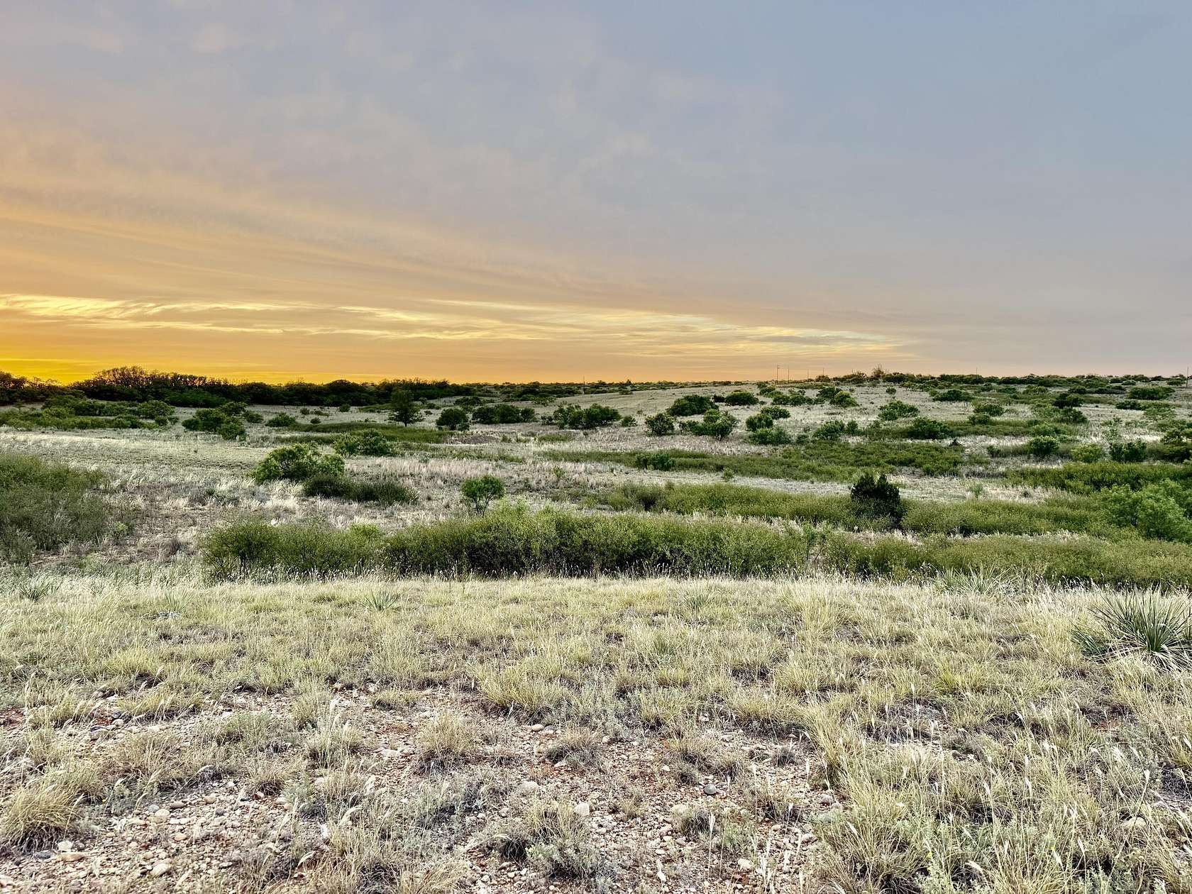 226 Acres of Land for Sale in Paducah, Texas