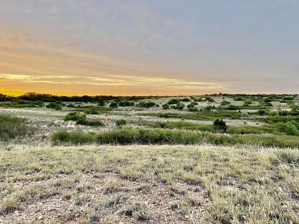 226 Acres of Land for Sale in Paducah, Texas