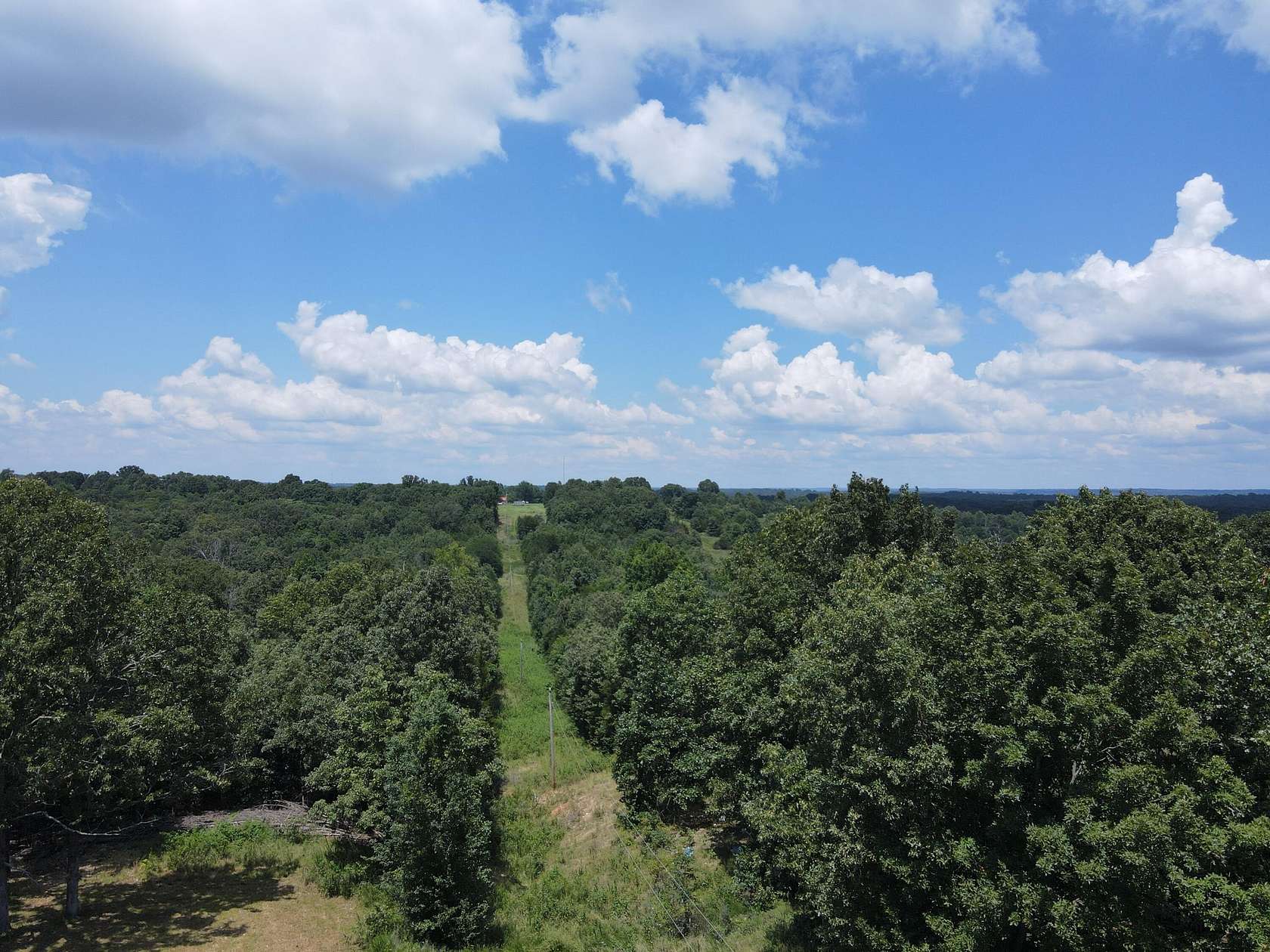 39.5 Acres of Recreational Land for Sale in Thayer, Missouri