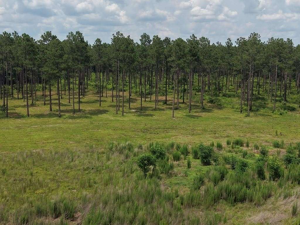 193 Acres of Land for Sale in Blakely, Georgia