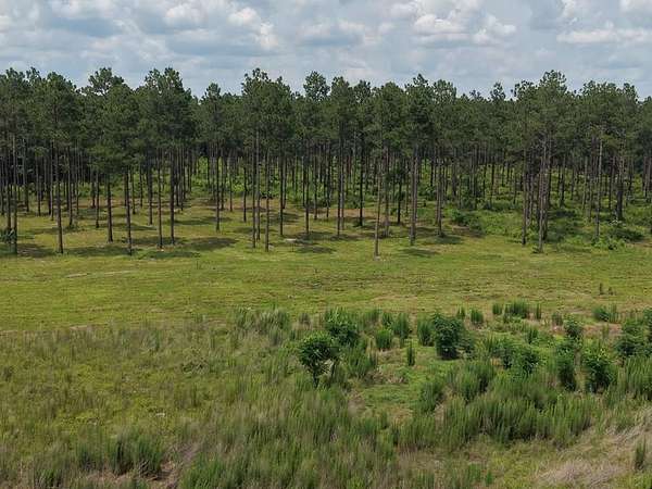193 Acres of Land for Sale in Blakely, Georgia