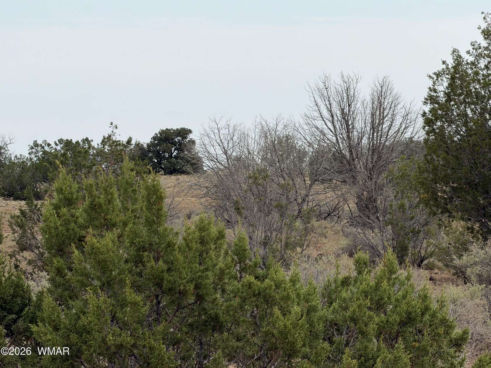 37.3 Acres of Recreational & Residential Land for Sale in Heber, Arizona