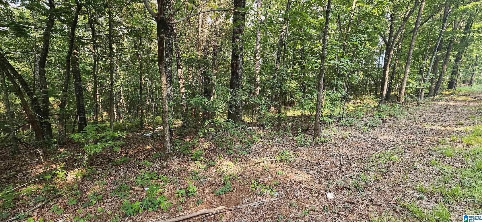 2 Acres of Residential Land for Sale in Pell City, Alabama