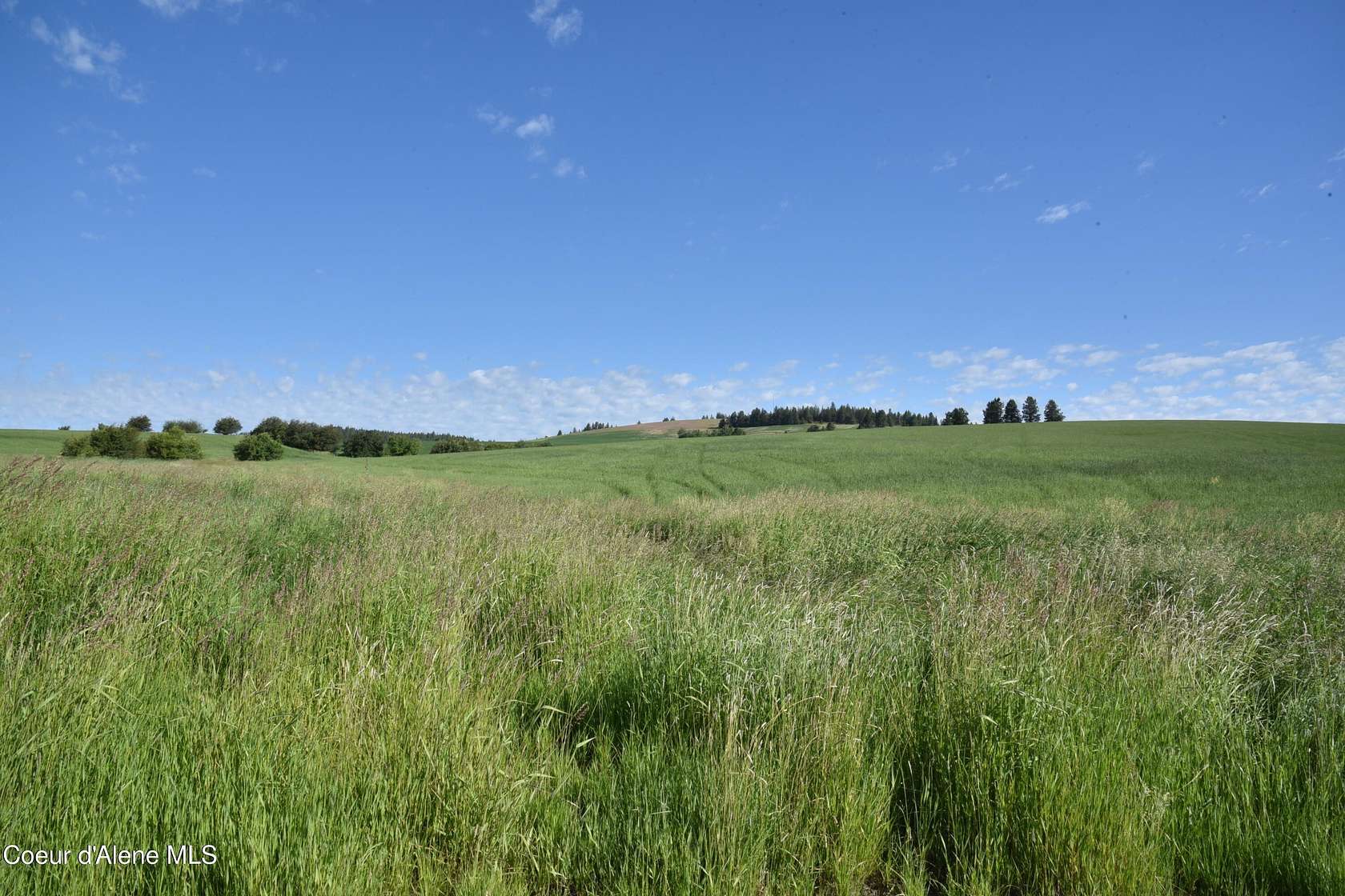 109 Acres of Land for Sale in Tensed, Idaho