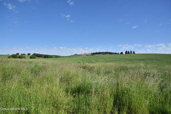 109 Acres of Land for Sale in Tensed, Idaho