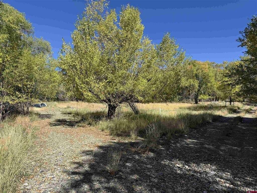 0.39 Acres of Land for Sale in Paonia, Colorado
