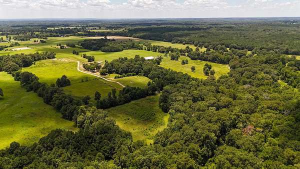 79.3 Acres of Land for Sale in Beckville, Texas