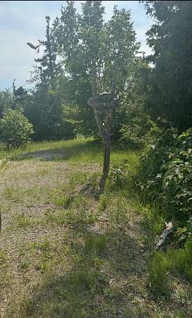 2 Acres of Residential Land for Sale in Millersburg, Michigan