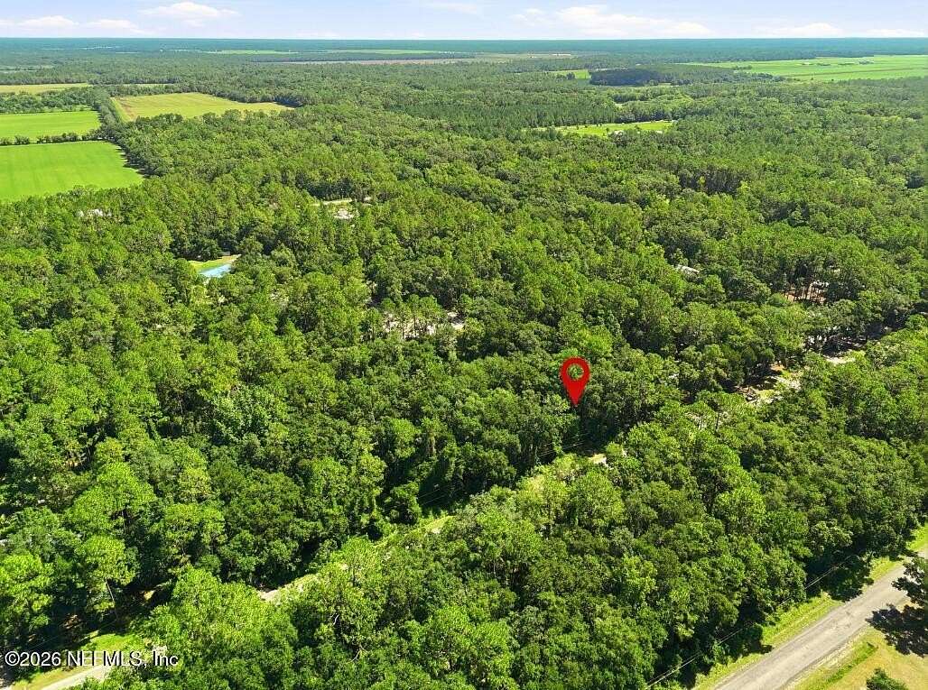 1 Acre of Residential Land for Sale in Hastings, Florida
