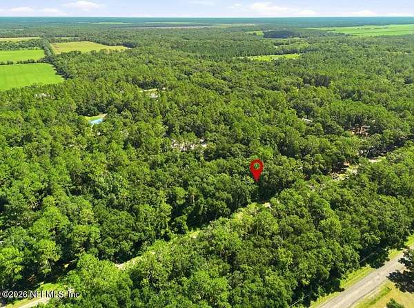 1 Acre of Residential Land for Sale in Hastings, Florida