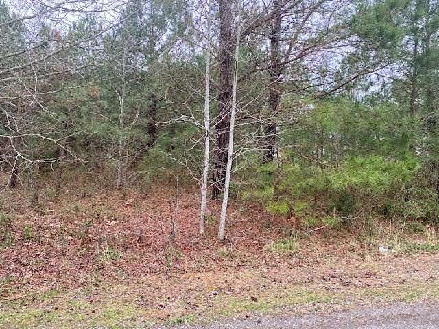 0.82 Acres of Land for Sale in Greenbackville, Virginia