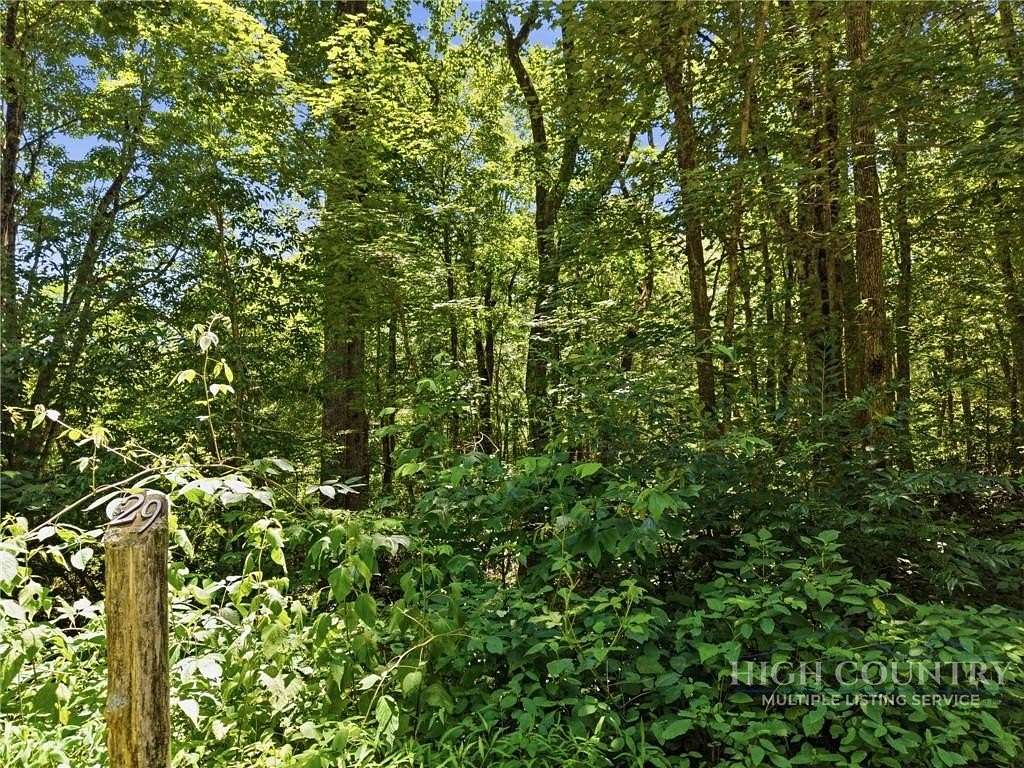 0.92 Acres of Residential Land for Sale in Blowing Rock, North Carolina