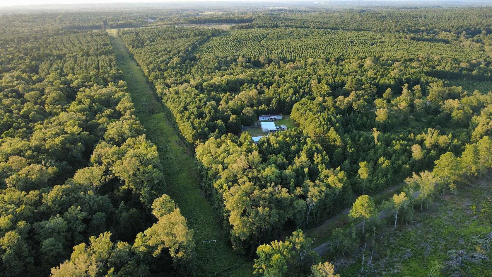14.5 Acres of Recreational & Residential Land for Sale in Harleton, Texas