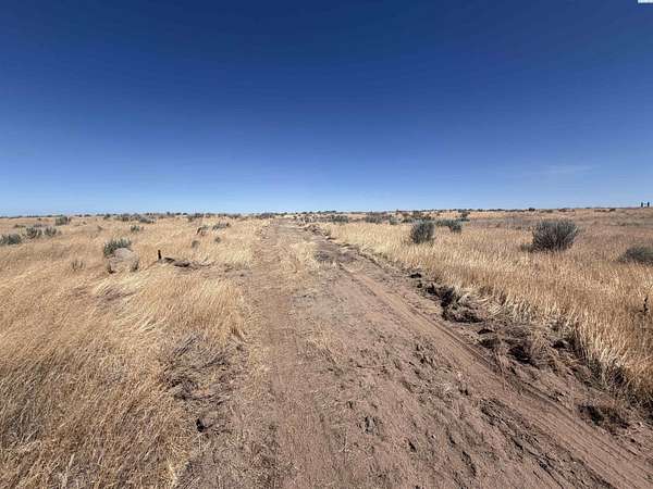 20.3 Acres of Agricultural & Residential Land for Sale in Connell, Washington