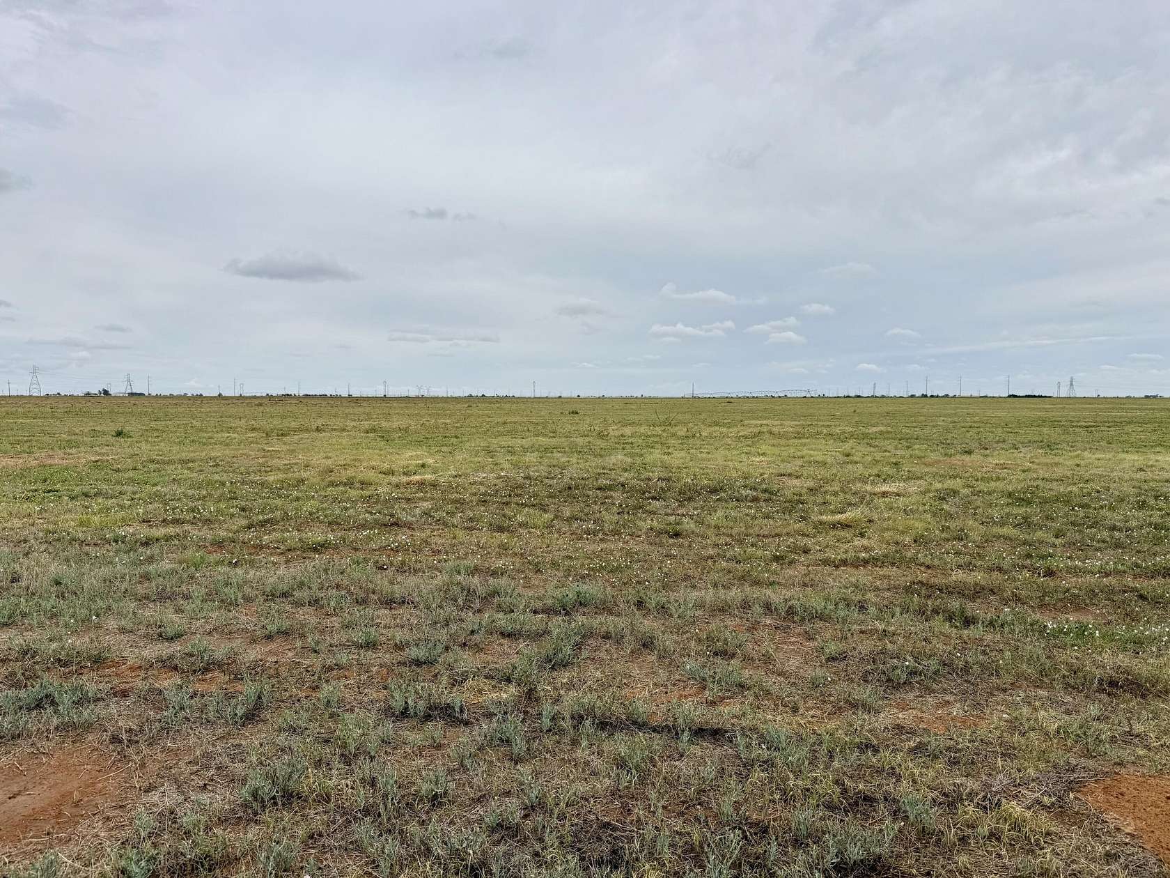 12 Acres of Land for Sale in Abernathy, Texas