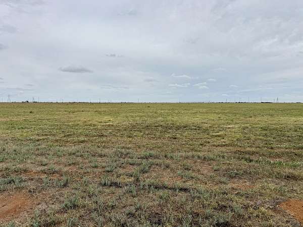 12 Acres of Land for Sale in Abernathy, Texas