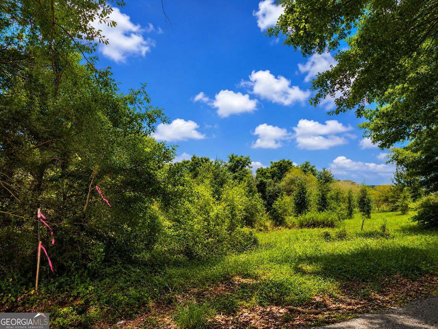 2 Acres of Residential Land for Sale in Monroe, Georgia