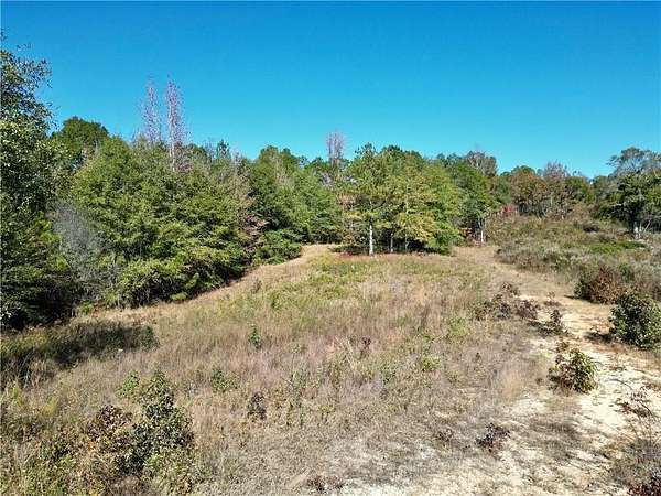 139 Acres of Recreational & Residential Land for Sale in Eufaula, Alabama