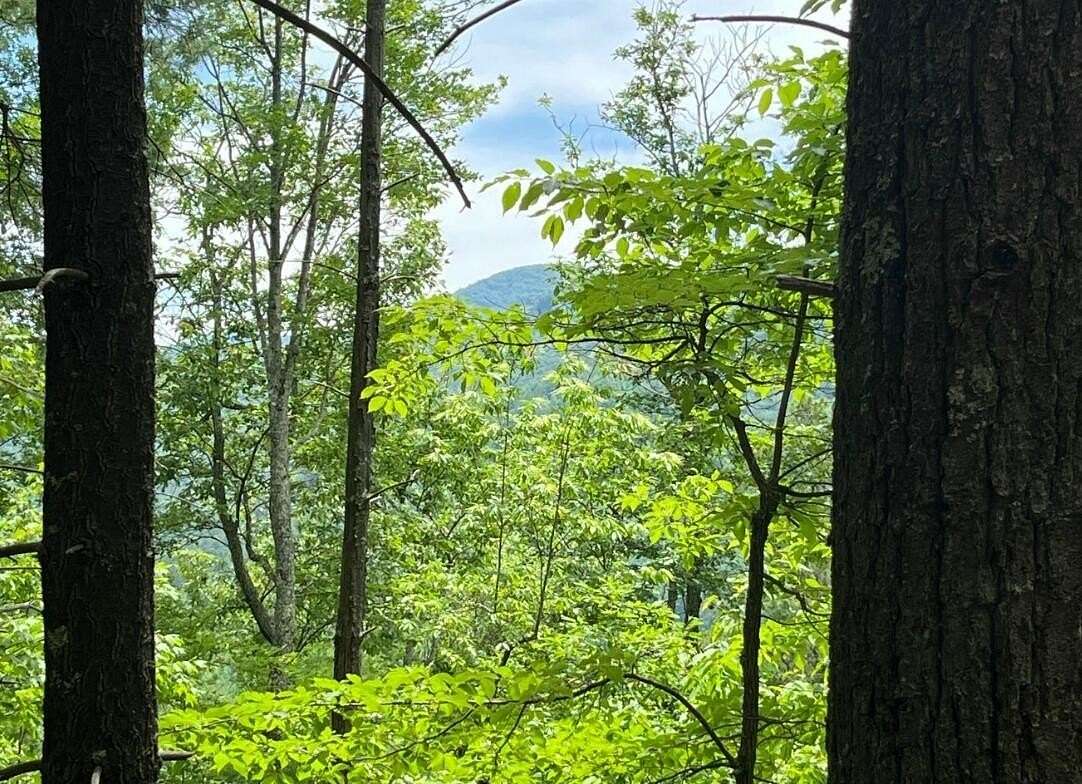 8 Acres of Residential Land for Sale in Hartford, Tennessee