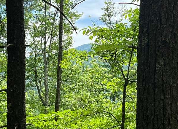 8 Acres of Residential Land for Sale in Hartford, Tennessee