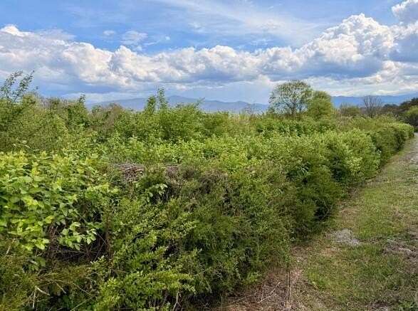 27.6 Acres of Land for Sale in Newport, Tennessee