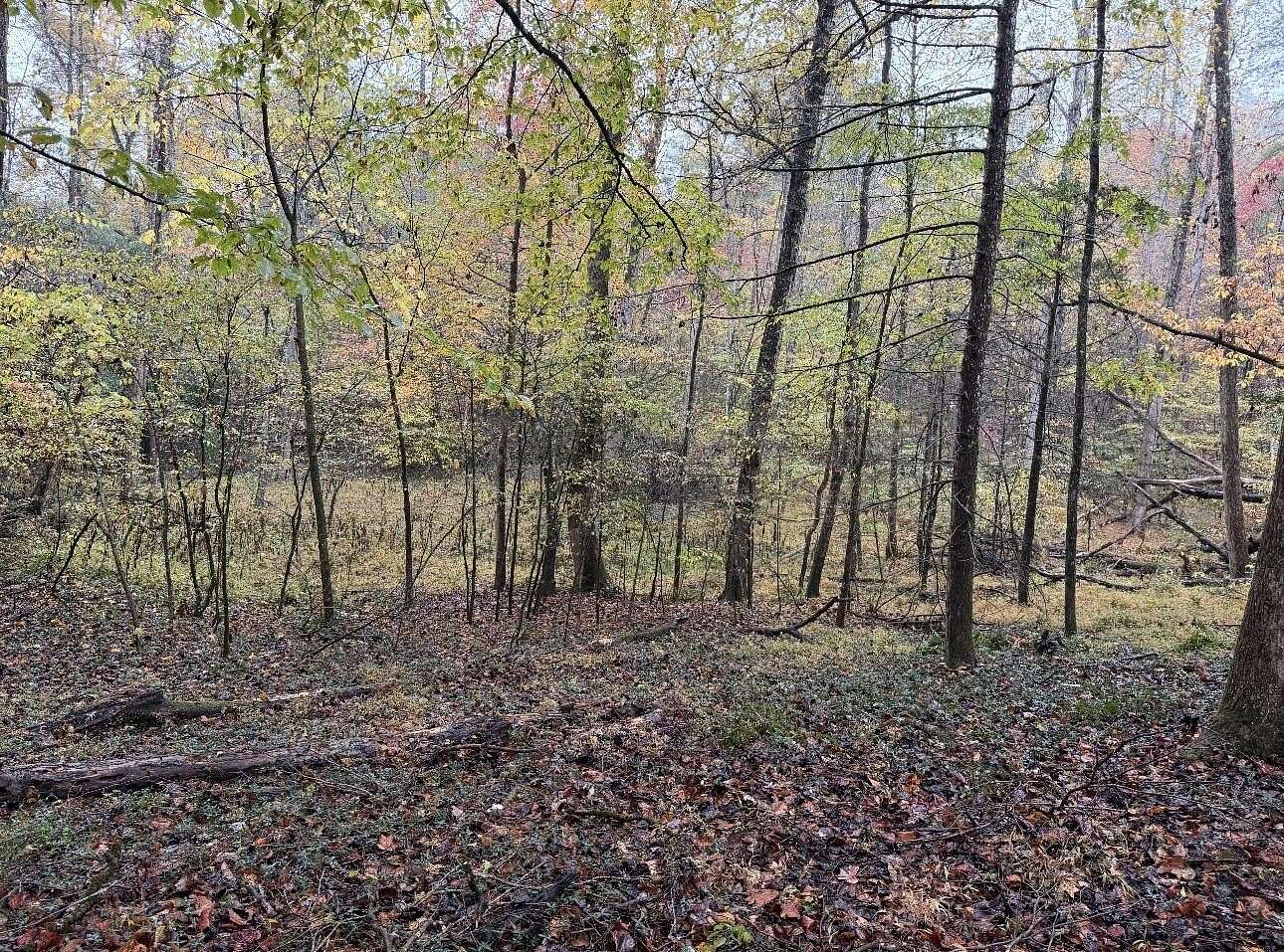 3.38 Acres of Residential Land for Sale in Del Rio, Tennessee