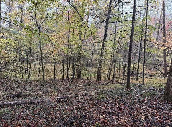 3.38 Acres of Residential Land for Sale in Del Rio, Tennessee